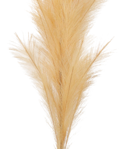 5914 PLUME SAND 170CM
